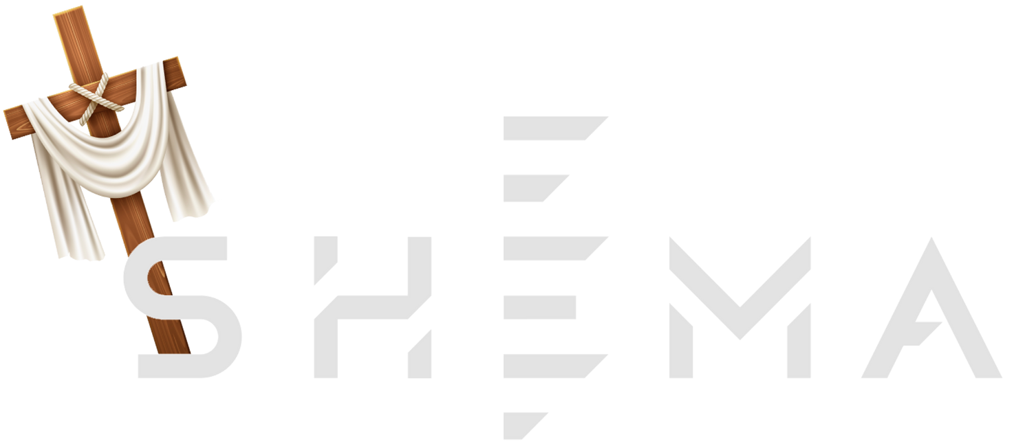 Radyo Shema Diriliş Logo